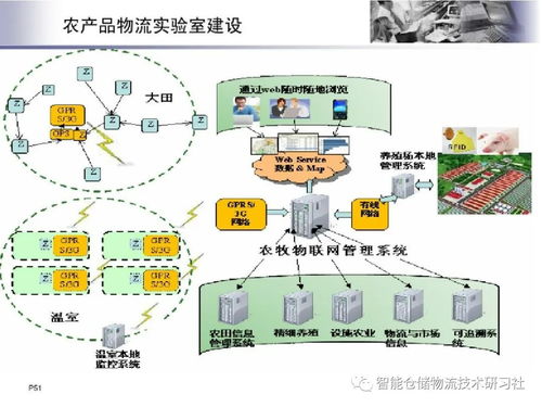 物聯(lián)網(wǎng)技術(shù)在智能物流系統(tǒng)中的網(wǎng)絡(luò)系統(tǒng)安裝與集成實踐